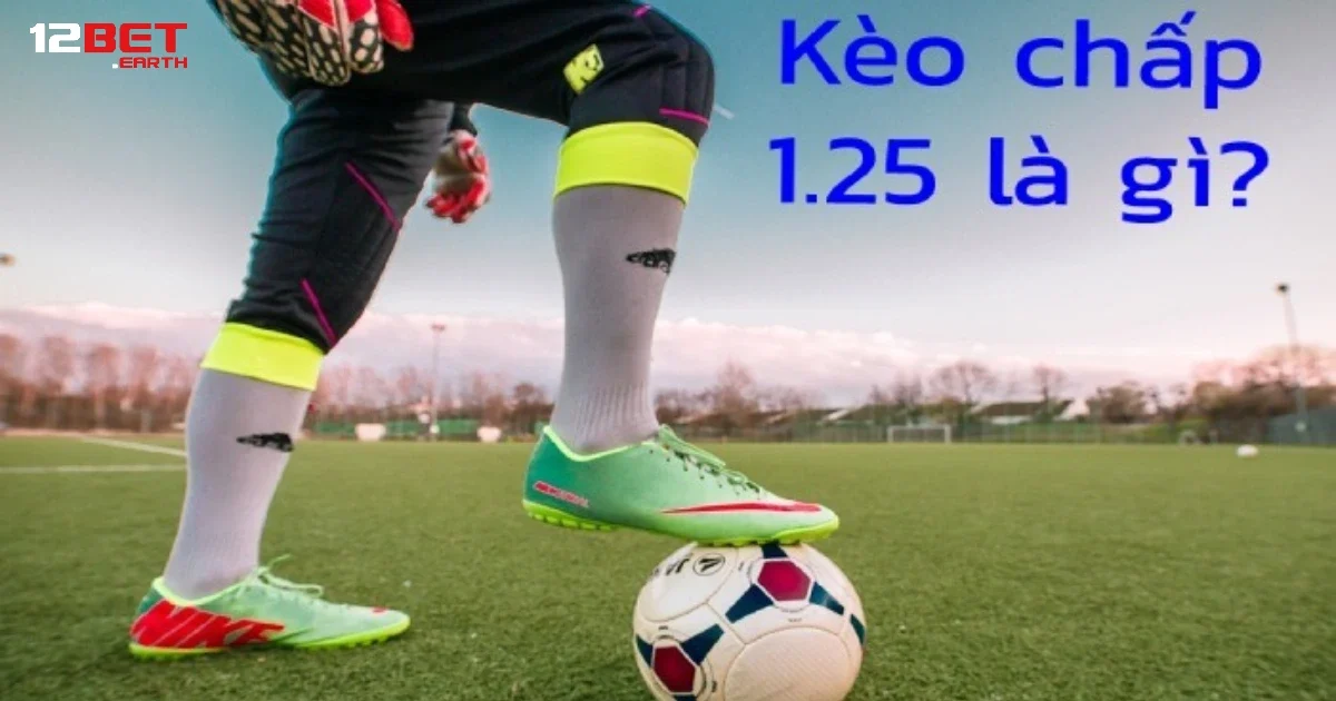 Kèo Chấp 1.25 Là Gì? Cách Tính Thắng Thua Dễ Hiểu Nhất Tại 12BET 2 Chi tiết về phân loại của kèo chấp 1.25 dành cho những ai chưa biết